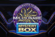 Millionaire Mystery Box